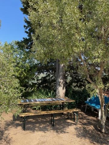 Stazzu Lu Chissoni Holiday home *